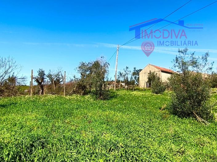 Image No.5-Farmhouse for sale