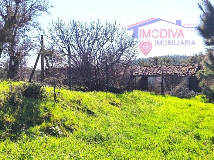 Image No.9-Farmhouse for sale