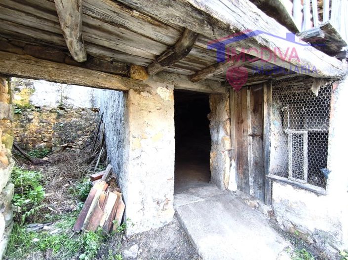 Image No.14-Maison de 1 chambre à vendre à Figueiró dos Vinhos