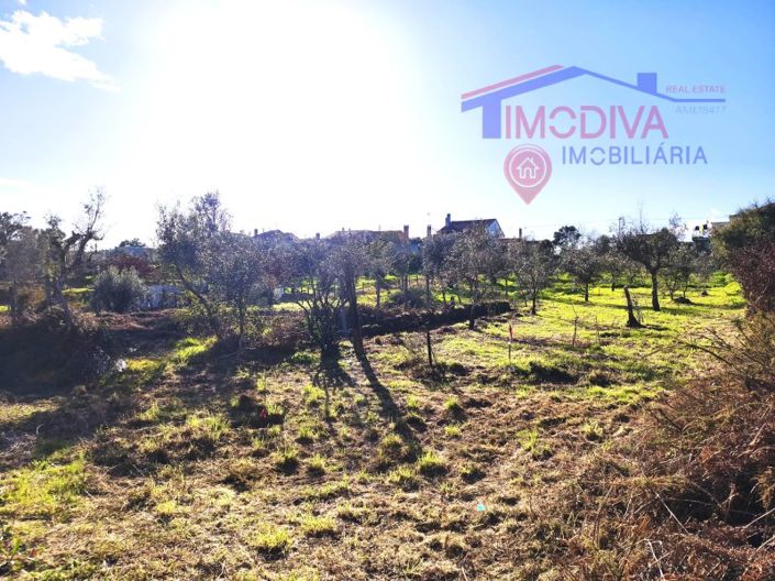 Image No.23-Maison de 1 chambre à vendre à Figueiró dos Vinhos