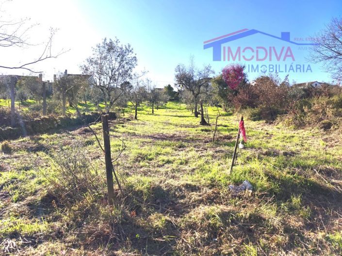 Image No.24-Maison de 1 chambre à vendre à Figueiró dos Vinhos