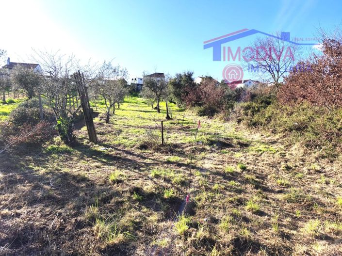 Image No.25-Maison de 1 chambre à vendre à Figueiró dos Vinhos
