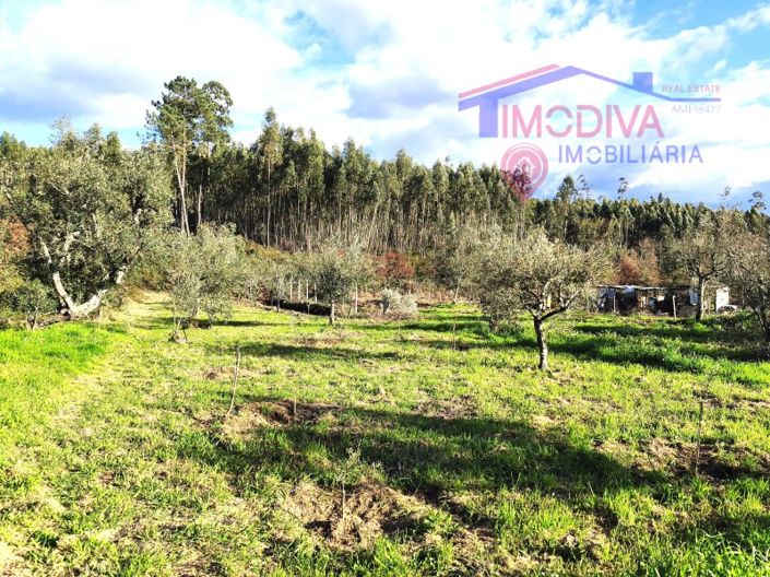 Image No.27-Maison de 1 chambre à vendre à Figueiró dos Vinhos