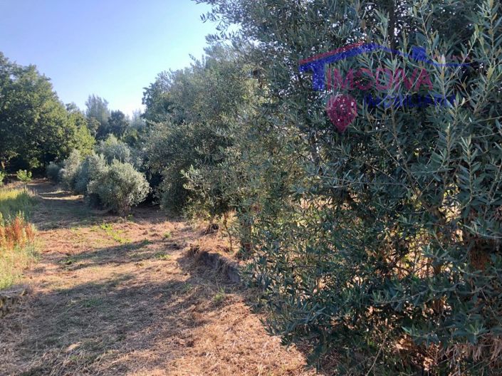 Image No.21-Property for sale