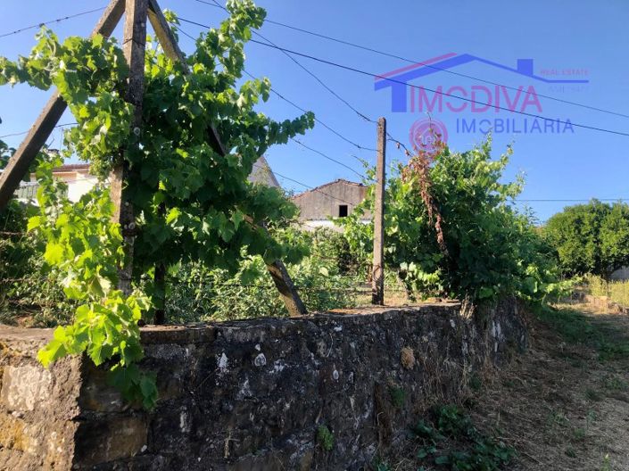 Image No.22-Property for sale