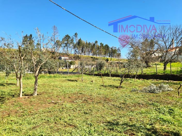 Image No.31-Maison de 3 chambres à vendre à Pedrógão Grande