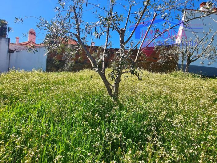 Image No.33-Maison de 3 chambres à vendre à Pedrógão Grande