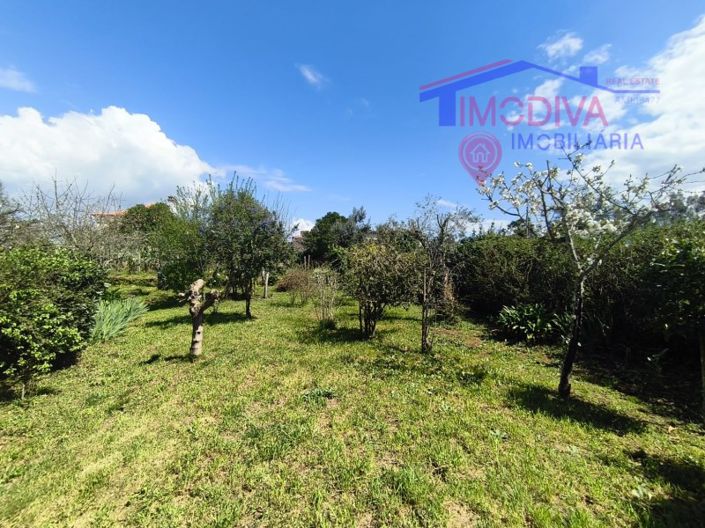 Image No.33-Maison de 1 chambre à vendre à Pedrógão Grande