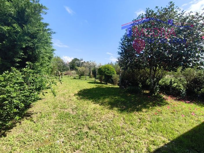 Image No.34-Maison de 1 chambre à vendre à Pedrógão Grande