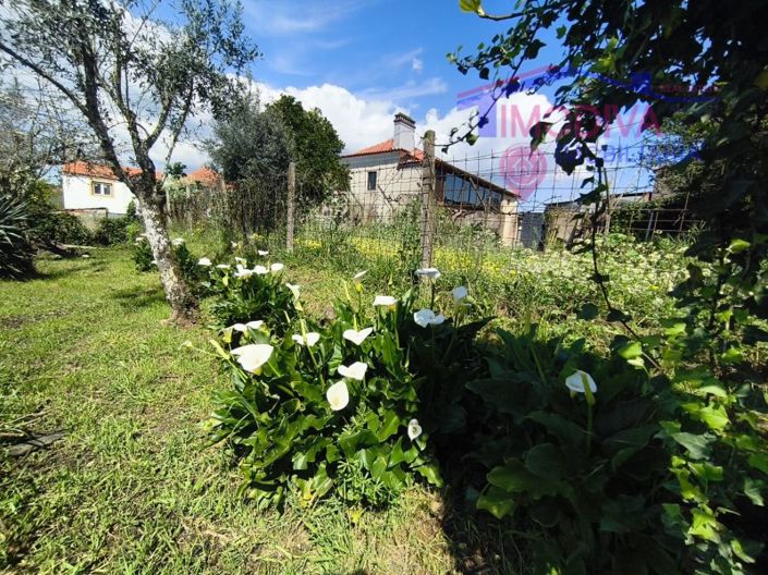 Image No.35-Maison de 1 chambre à vendre à Pedrógão Grande