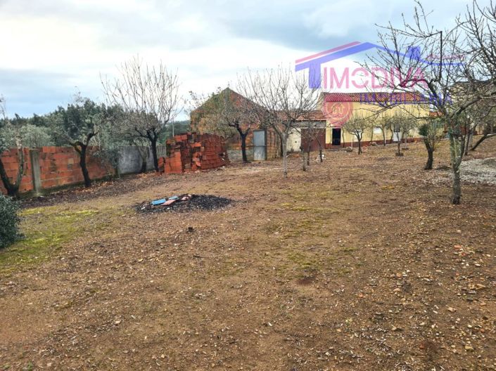 Image No.3-House for sale