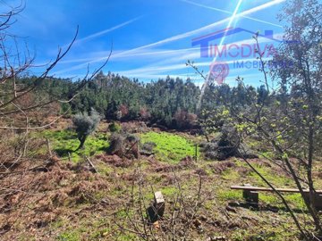 id42d1c701-0000-0500-0000-00001916b238