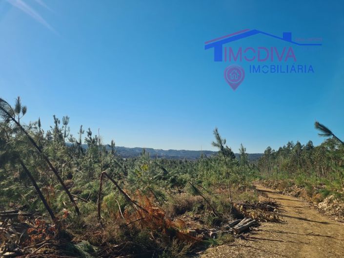 Image No.5-Plot for sale