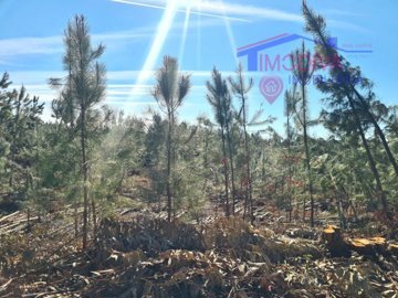 id42d1c701-0000-0500-0000-00001916b23f