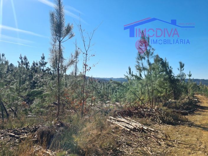 Image No.7-Plot for sale