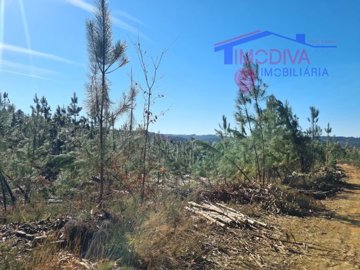 id42d1c701-0000-0500-0000-00001916b241