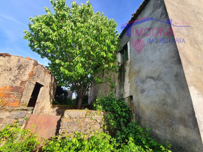 Image No.25-3 Bed House for sale