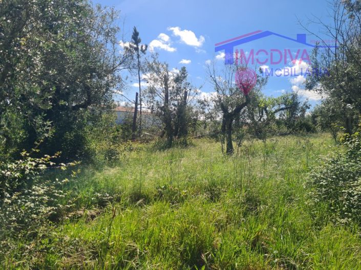 Image No.28-3 Bed House for sale