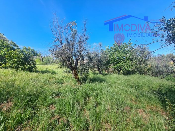 Image No.29-3 Bed House for sale