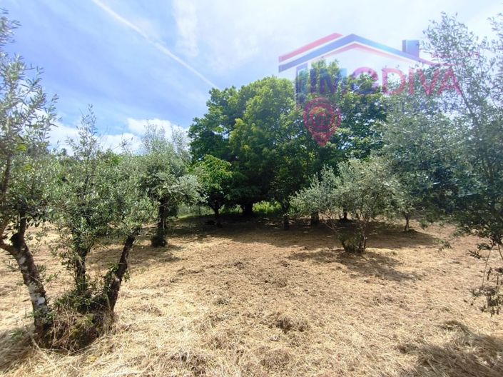 Image No.40-2 Bed House for sale
