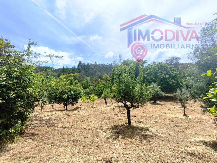 Image No.42-2 Bed House for sale