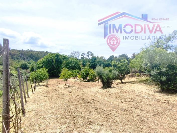 Image No.44-2 Bed House for sale