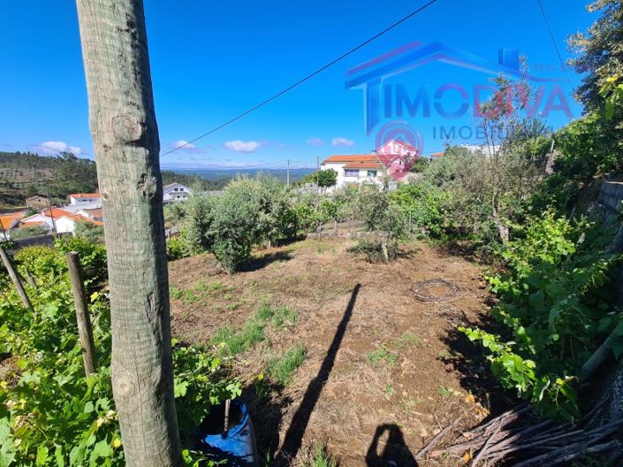 Image No.40-3 Bed House for sale