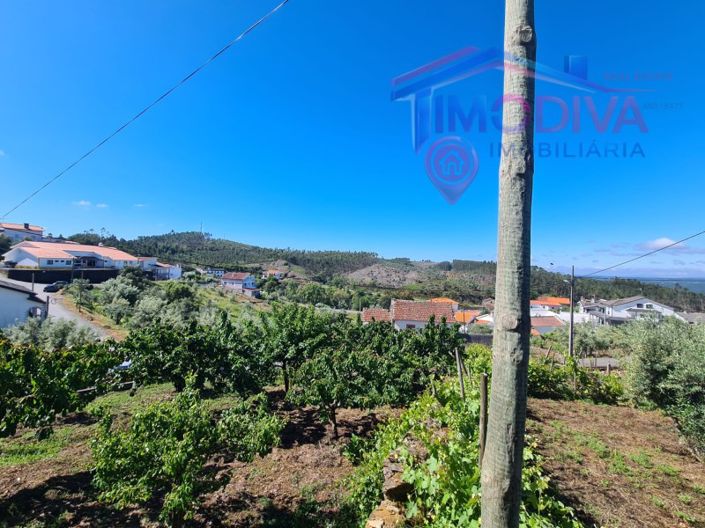 Image No.43-3 Bed House for sale