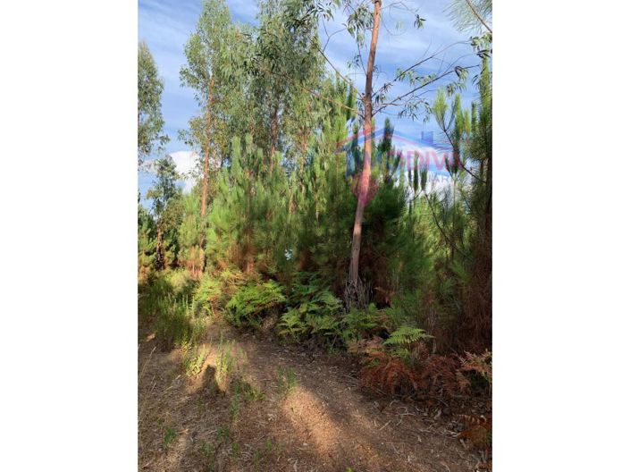 Image No.3-Plot for sale