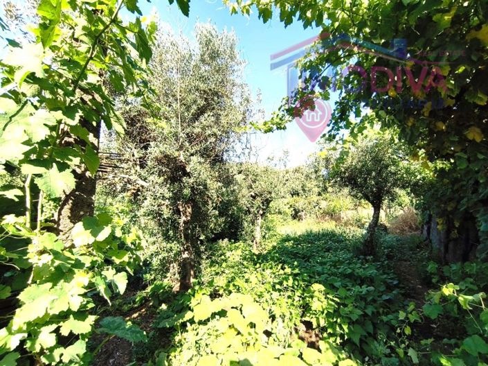 Image No.38-2 Bed House for sale