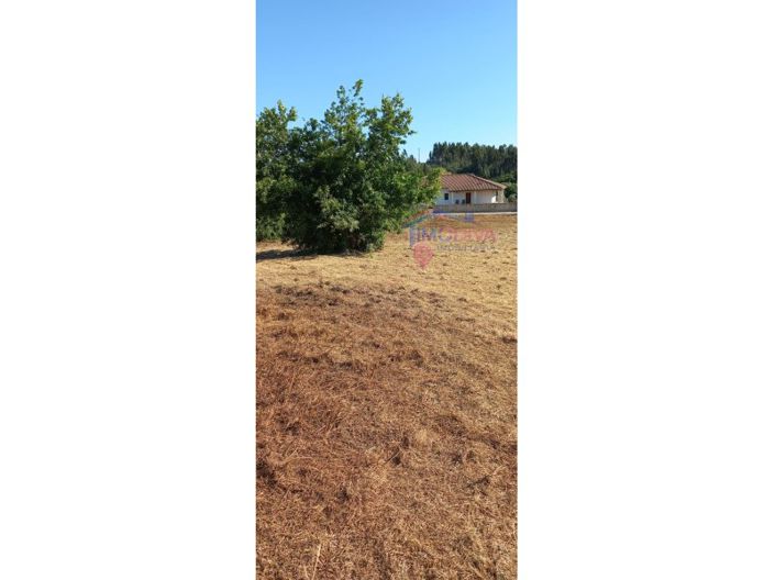 Image No.6-Plot for sale