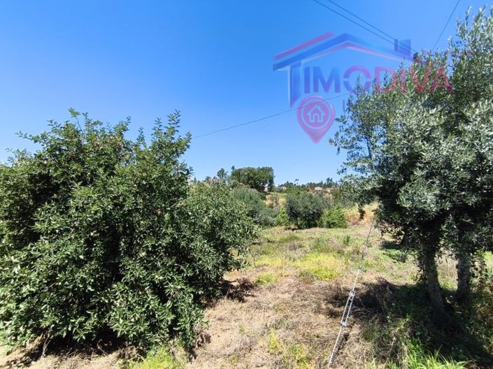 Image No.21-2 Bed House for sale