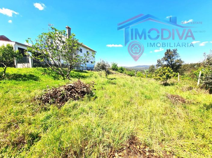 Image No.44-3 Bed House for sale