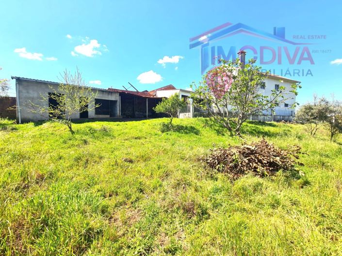 Image No.45-3 Bed House for sale