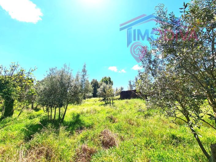 Image No.46-3 Bed House for sale