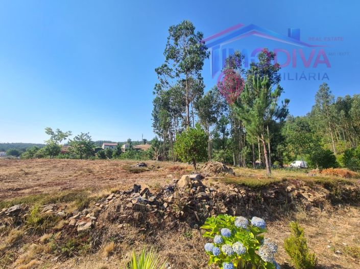Image No.3-Plot for sale