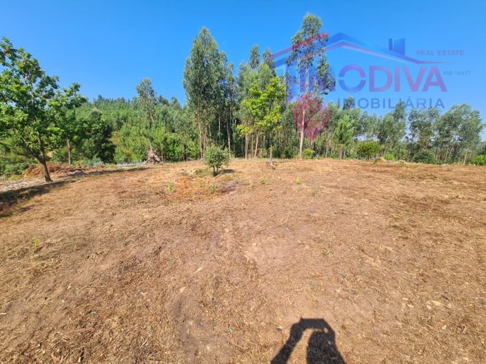 Image No.5-Plot for sale