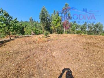 id6bd6d201-0000-0500-0000-000019dba518