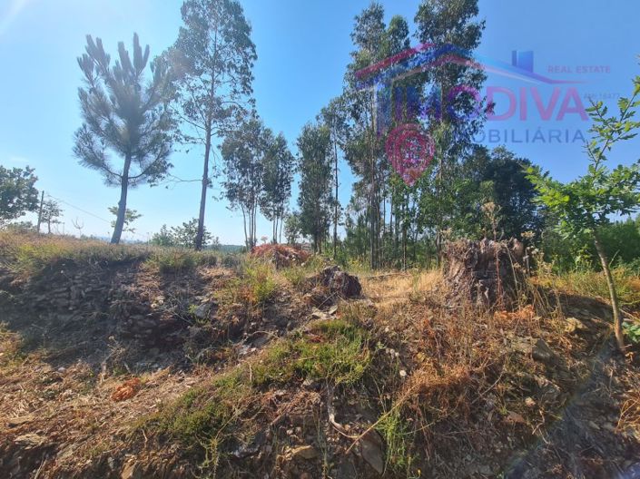 Image No.9-Plot for sale