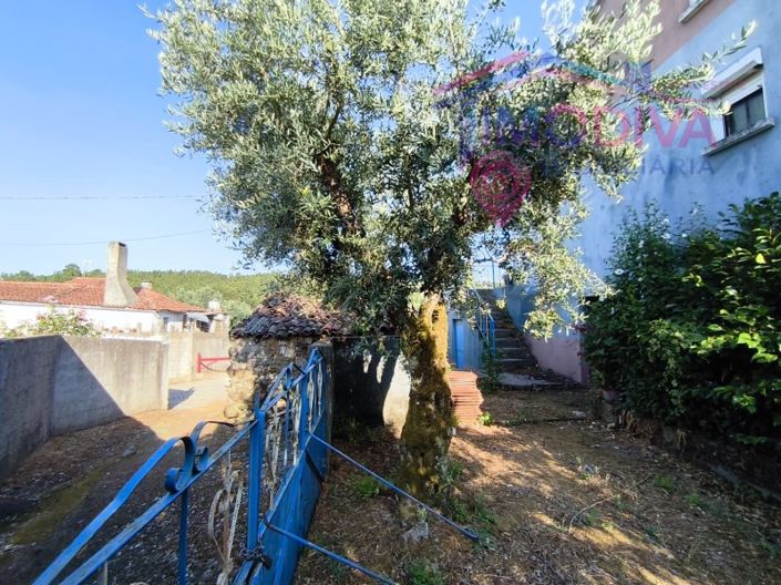 Image No.34-3 Bed House for sale