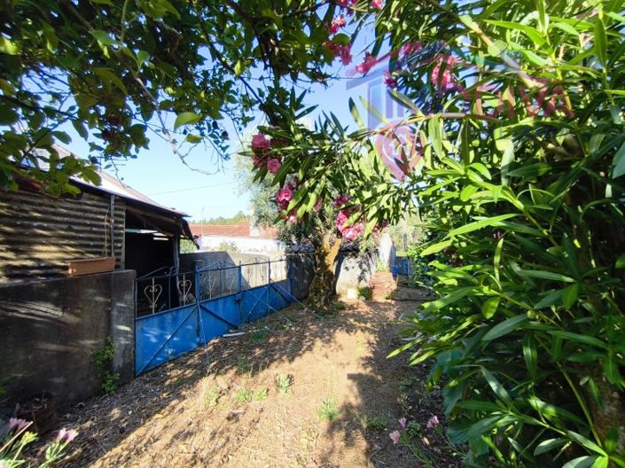 Image No.35-3 Bed House for sale
