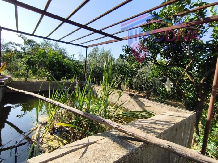 Image No.38-3 Bed House for sale