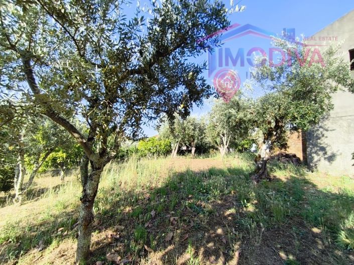 Image No.39-3 Bed House for sale