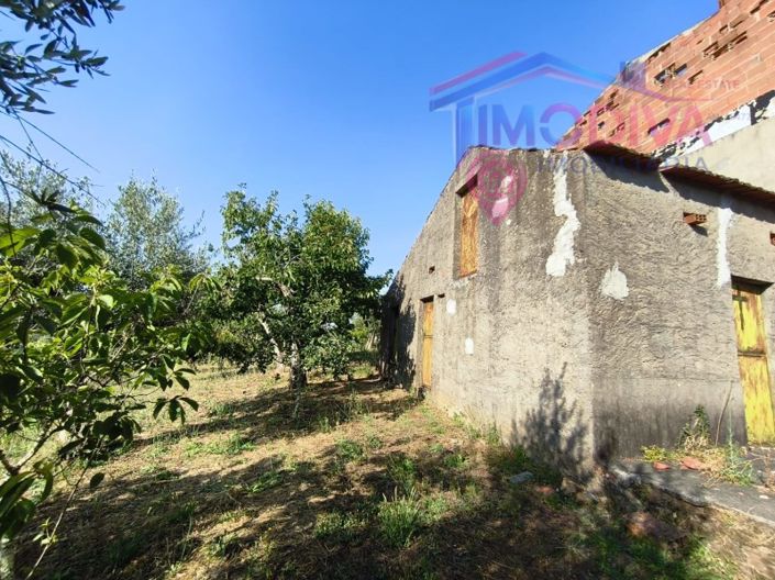 Image No.42-3 Bed House for sale