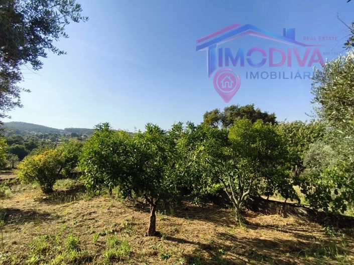 Image No.43-3 Bed House for sale