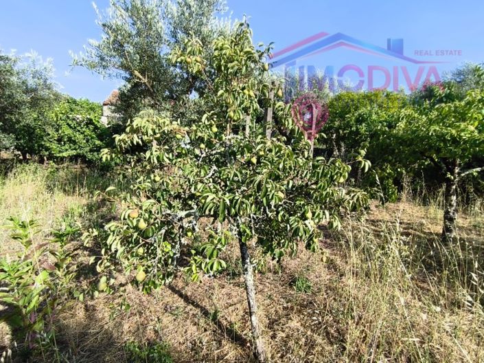 Image No.44-3 Bed House for sale