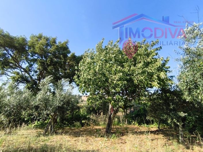 Image No.45-3 Bed House for sale