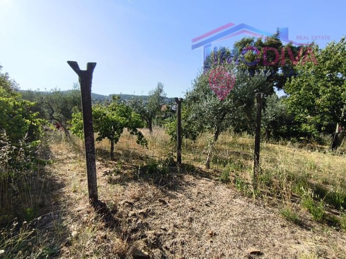 Image No.46-3 Bed House for sale