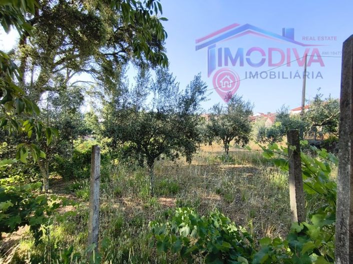 Image No.47-3 Bed House for sale