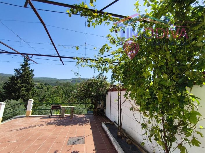 Image No.36-3 Bed House for sale